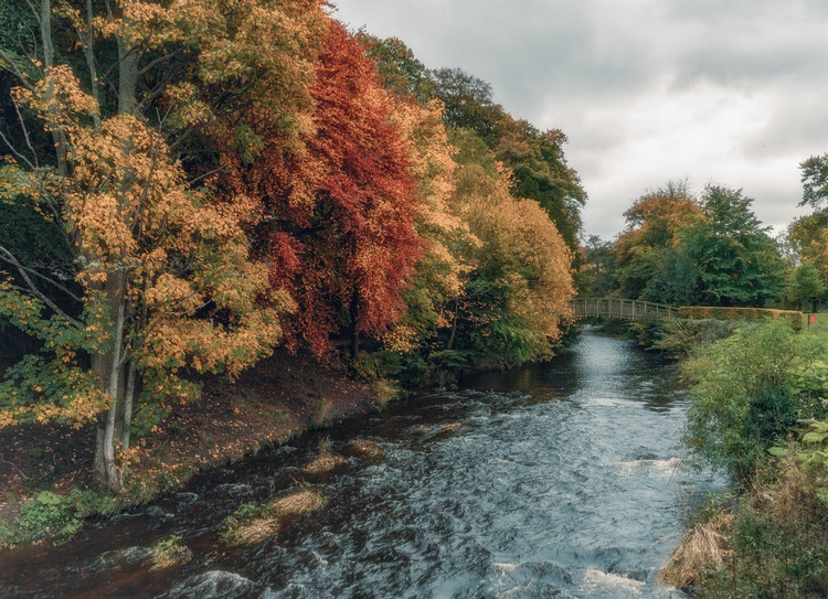 氨氮的超標原因 氨氮的超標原因