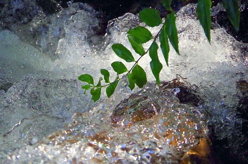 在線水質檢測儀使用方法.jpg 在線水質檢測儀使用方法.jpg