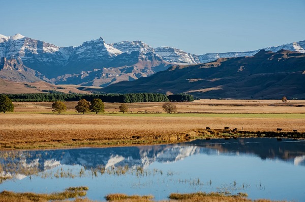 水中總磷超標的原因.jpg 水中總磷超標的原因.jpg