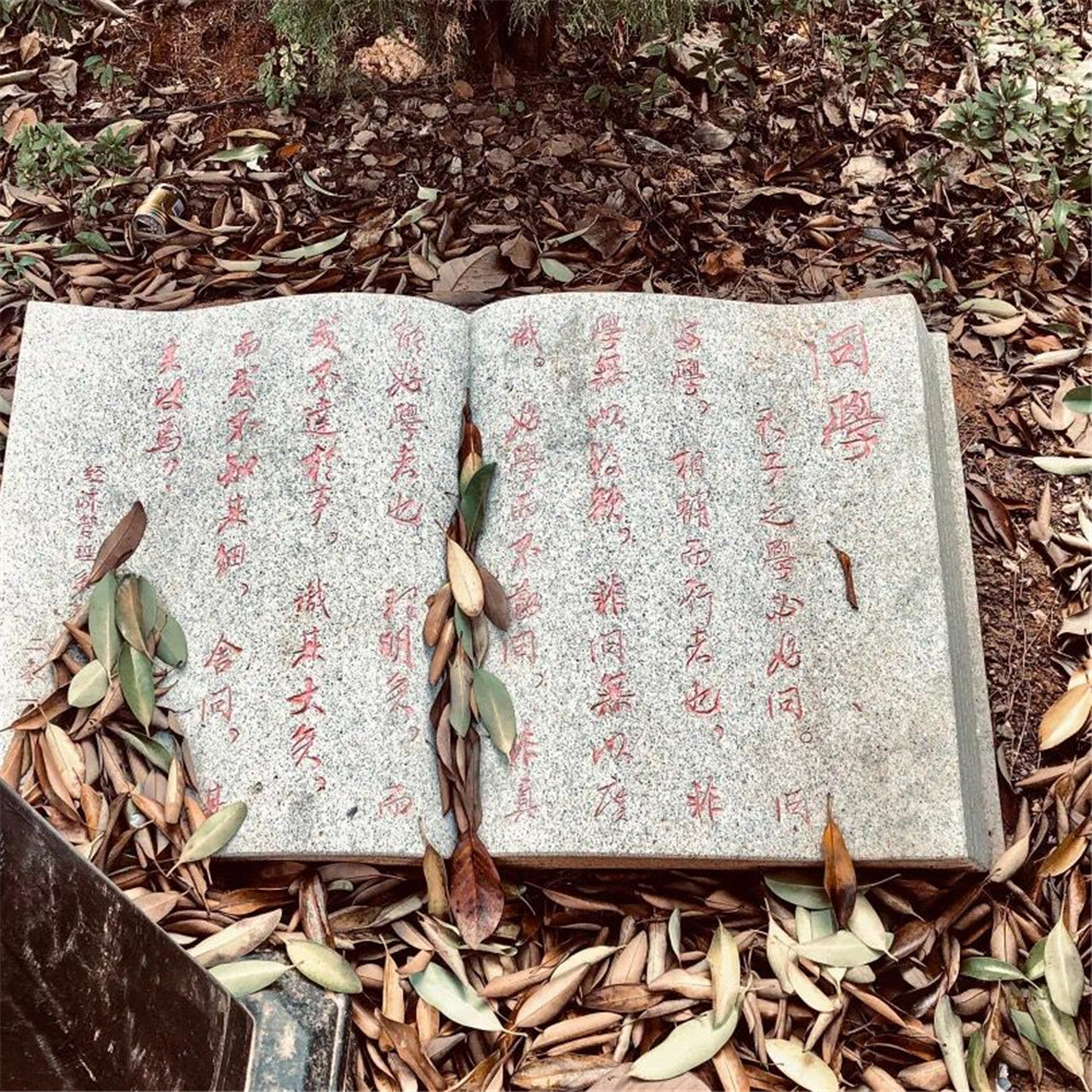 問(wèn)學(xué)石